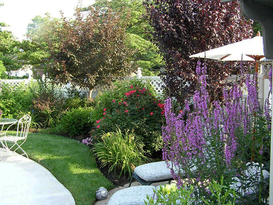 Seasonal Shrubs and Perennial Provide Year Round Color