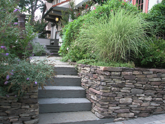 Dry Field Stone Retaining Wall / Solid Bluestone Steps