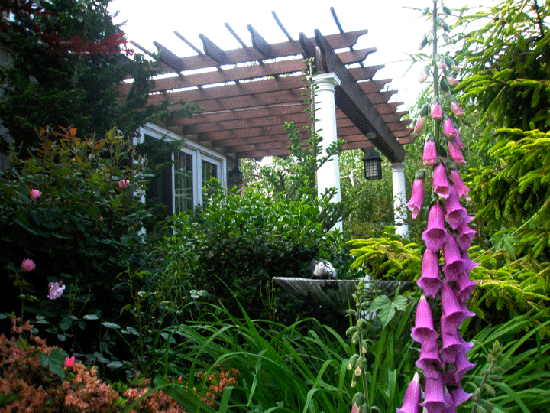 Garden Pergola Provides Shade Over Patio Side View