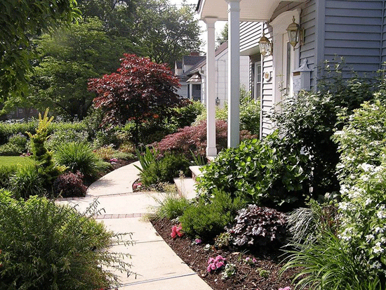 Front Yard Landscaping