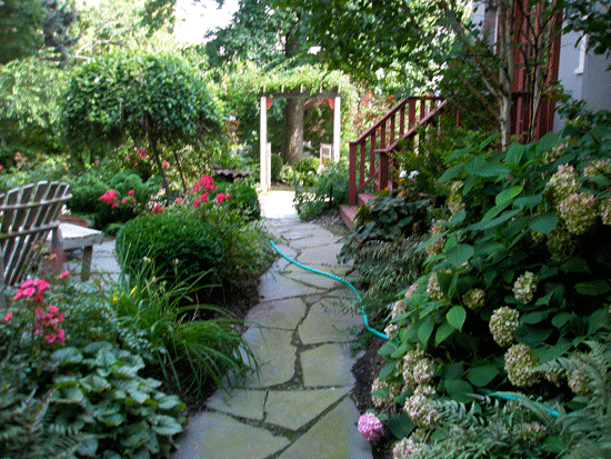 Blue Stone Path Through Garden