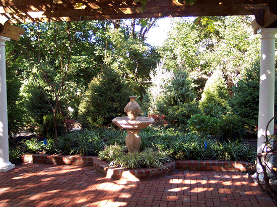 Landscape Design Enhances Garden Pergola with Vines