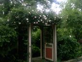 Pergola Garden Entrance - Summer