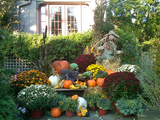 Autumn Display